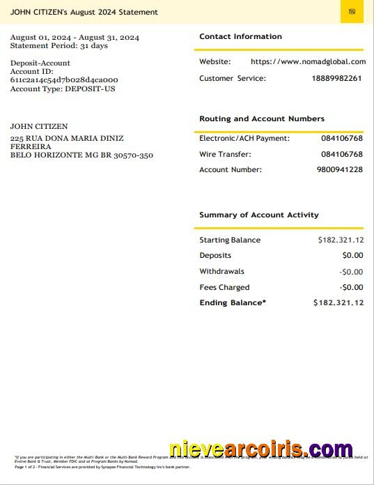 USA Nomad Global bank statement 3 – 6 months Word and PDF example